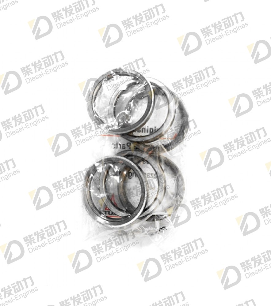 Valve seat, intake 20459962 